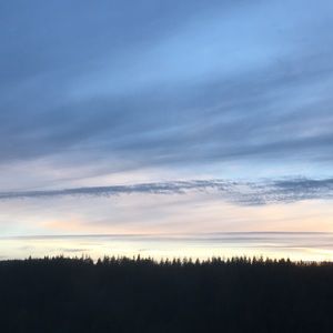 Meet your Posher, Quin